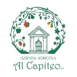 Azienda Agricola Al Capiteo, Grignano polesine orari di apertura