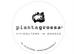 Azienda Agricola Pianta Grossa di Luciano Zoppo Ronzero, Donnas orari di apertura