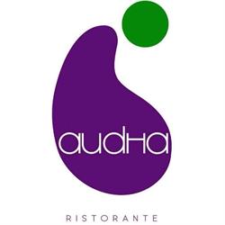 Audha Srl, Peccioli orari di apertura
