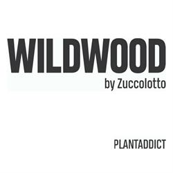 F.LLI ZUCCOLOTTO S.S., Milano orari di apertura