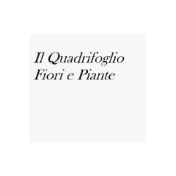 Il Quadrifoglio, Amelia orari di apertura