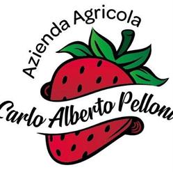 Azienda Agricola Pelloni Carlo Alberto, Vignola orari di apertura