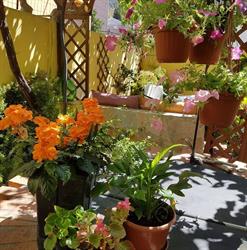 B&B Da Anna, Bosa orari di apertura