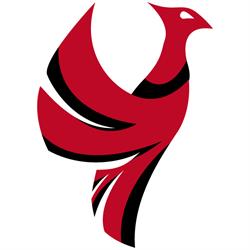 Fenix S.r.l., Faenza orari di apertura
