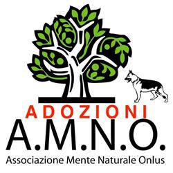 Associazione Mente Naturale Onlus, Palombara Sabina orari di apertura