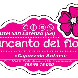 L'incanto dei fiori di Capozzolo Antonio, Castel San Lorenzo orari di apertura