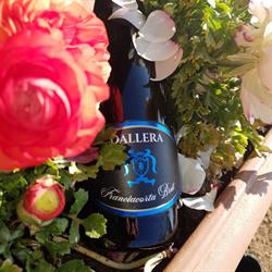 Agricola Dallera, Paderno Franciacorta orari di apertura