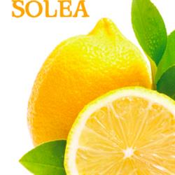 Solea srl, Palermo orari di apertura