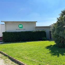 meneghello funghi, Noventa Vicentina orari di apertura