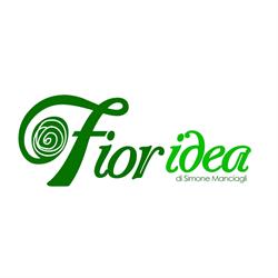 Fioridea di Simone Manciagli, Buscemi orari di apertura