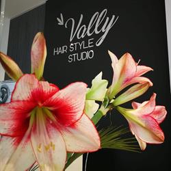 Vally Hair Style Studio, Verona orari di apertura