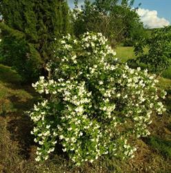 Agriturismo San Giuseppe, Volterra orari di apertura