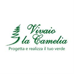 Vivaio La Camelia Viterbo, orari di apertura
