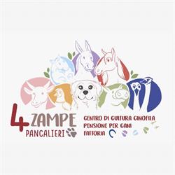 Centro Cinofilo 4 Zampe & co, Pancalieri orari di apertura