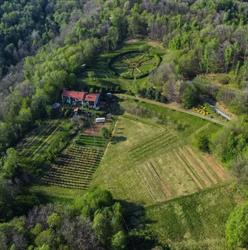 Cascina Amaltea, Borgiallo orari di apertura