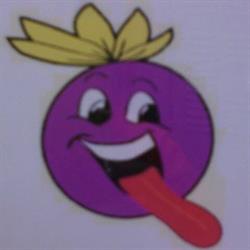 gelateria slurp, Bussolengo orari di apertura