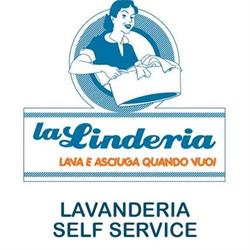 LA LINDERIA, Noci orari di apertura