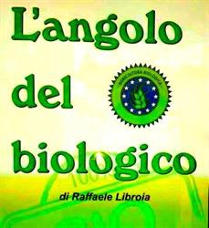 L'Angolo Del Biologico Di Libroia Raffaele, Lanzara orari di apertura