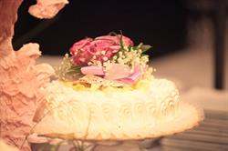 Speroni Catering Srl, Grosseto orari di apertura