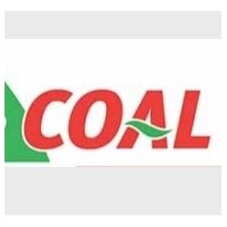 Supermercato Coal, Carpineto Romano orari di apertura