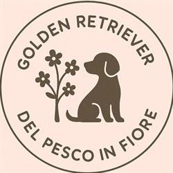 Del Pesco in Fiore Golden Retriever, Chiesina Uzzanese orari di apertura