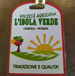 L'Isola Verde, Cassola orari di apertura