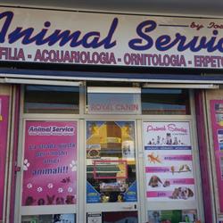 Animal service Giugliano in Campania, Varcaturo - Orari di apertura