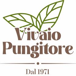 Vivaio Pungitore, Roma orari di apertura