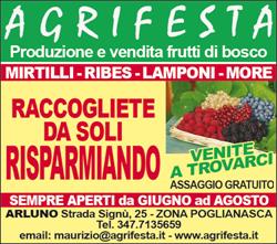 Agrifesta di Maurizio Festa, Arluno orari di apertura