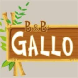 Il Gallo, Monopoli orari di apertura