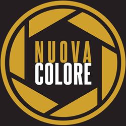 NUOVA COLORE srl, Treviso orari di apertura