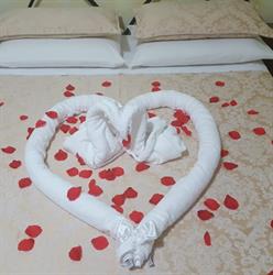 La Coccinella Bed & Breakfast, Amaseno orari di apertura