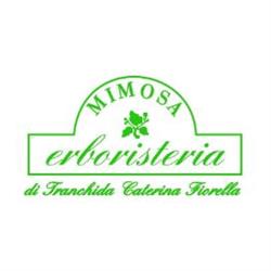 Erboristeria Mimosa, Trapani orari di apertura