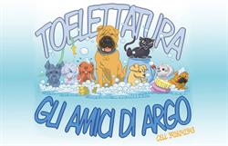 Gli amici di Argo, Lucca orari di apertura