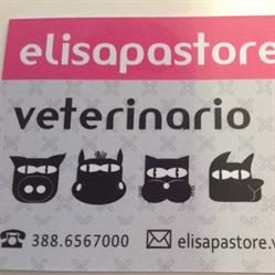 Ambulatorio Veterinario Ruffano, orari di apertura
