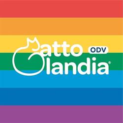 Gattolandia Onlus per la tutela del gatto, Monza orari di apertura