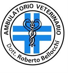 Ambulatorio Veterinario Dott. Roberto Bellocchi, Sezze orari di apertura