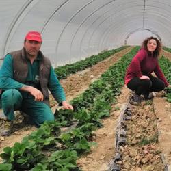 Azienda Agricola Tonelli Marco, Bologna orari di apertura