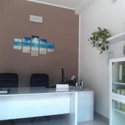 Ercolani Immobiliare, Massa Lombarda orari di apertura