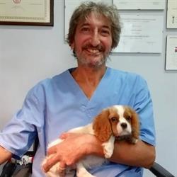 Studio Medico Veterinario dr. Alfonso Cervanti, Cava de' Tirreni orari di apertura