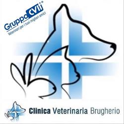Clinica Veterinaria Brugherio, orari di apertura