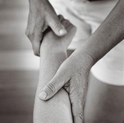 Therapeutika metodo Feldenkrais, Misano Adriatico orari di apertura