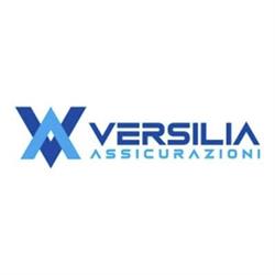Versilia Assicurazioni - Centro Assicurativo - Agente Alessio Calissi, Querceta orari di apertura