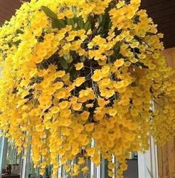 MONDO FIORE GIOIA, Gioia del Colle orari di apertura