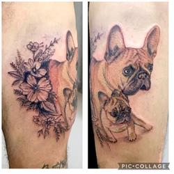 Tania Tattoo tatuaggi & piercing, Macerata orari di apertura