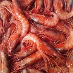 Pescheria e baccaleria La Mediterranea, Afragola orari di apertura