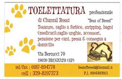 Best of Breed Di Chantal, Brugnato orari di apertura