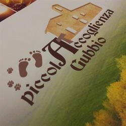PiccolAccoglienza Gubbio, orari di apertura