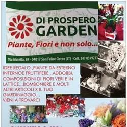 Di prospero garden, San Felice Circeo orari di apertura