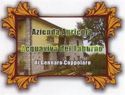 Azienda Agricola Acquaviva del Taburno, Tocco Caudio orari di apertura